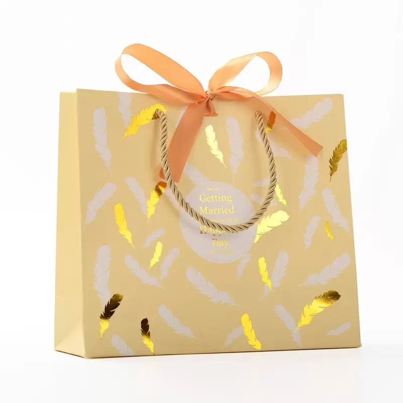 Custom gift bag with ribbon for premium packaging projects